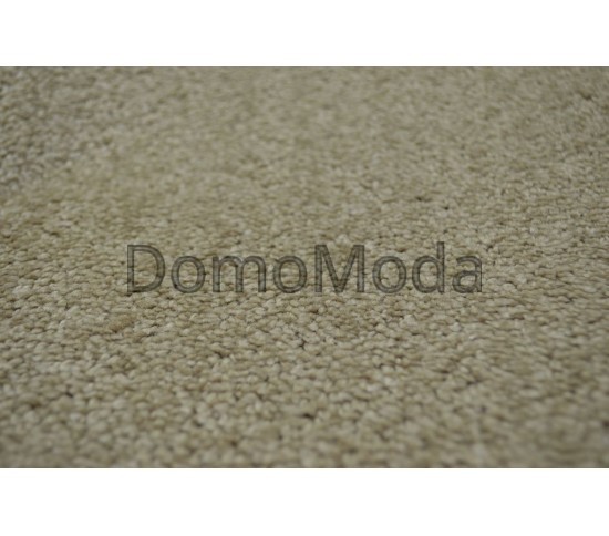 Ковролін для будинку Florida 34 - Висока якість за найкращою ціною в Україні зображення 3.