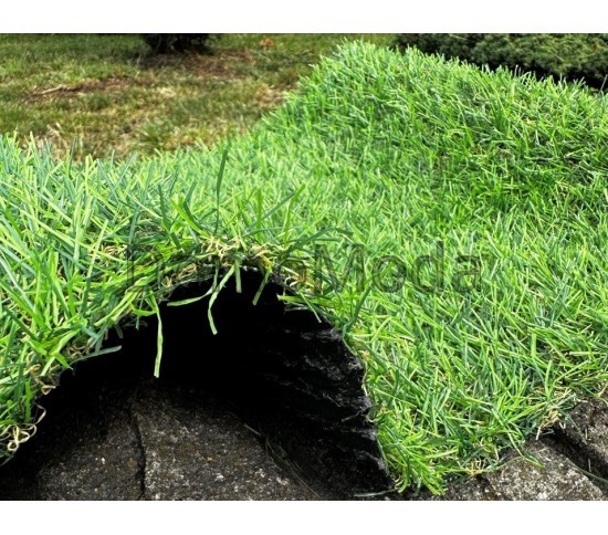 Штучна трава Landgrass 20 - Висока якість за найкращою ціною в Україні