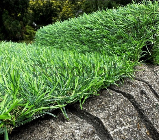 Искусственная трава Landgrass 30 - высокое качество по лучшей цене в Украине изображение 4.