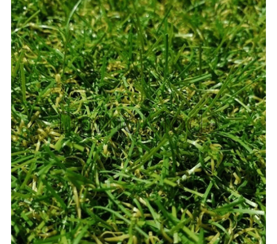 Штучна трава Condor Grass Apollo 25 - Висока якість за найкращою ціною в Україні зображення 2.