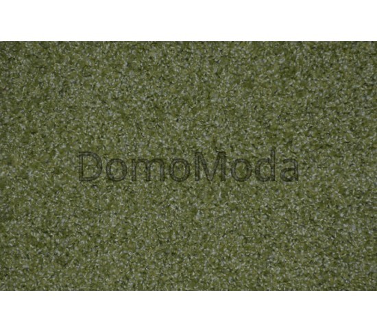 Ковролін для дому Holiday 59957 green - Висока якість за найкращою ціною в Україні