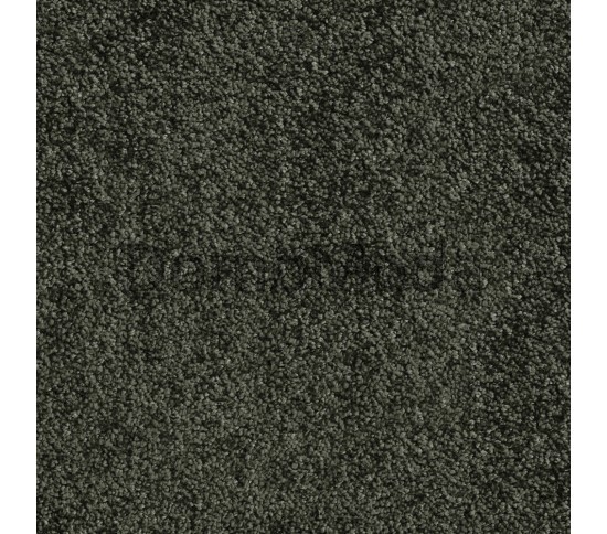 Бытовой ковролин Sunset 24 - высокое качество по лучшей цене в Украине