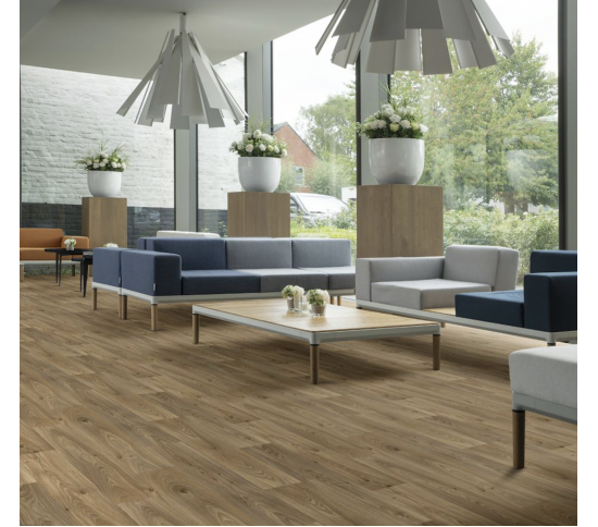 Побутовий лінолеум  Beauflor Ambient Gambel Oak 662M - Висока якість за найкращою ціною в Україні зображення 2.