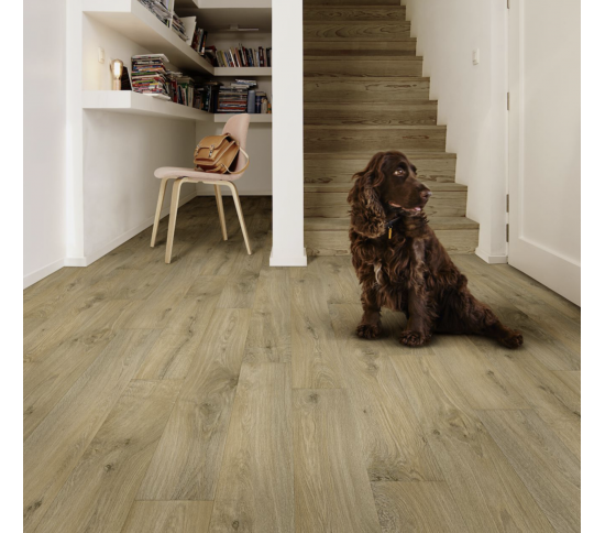 Побутовий лінолеум  Beauflor Sonipro Vero 363M - Висока якість за найкращою ціною в Україні зображення 2.