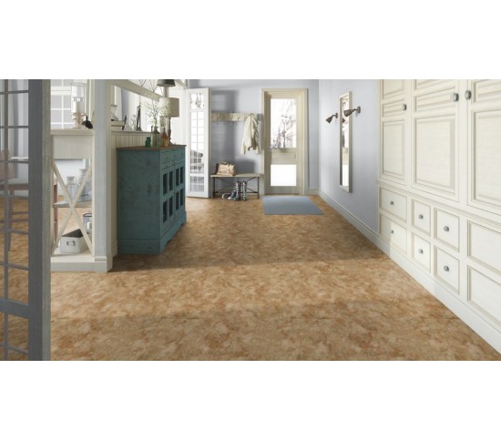 Побутовий лінолеум TARKETT FORCE NUBIA  3 - Висока якість за найкращою ціною в Україні зображення 2.