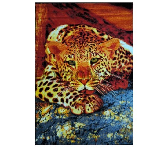 Килим картина з тваринами Kolibri (Колібрі) 11123/120 Купити в інтернет магазині ДомоМода Килим картина з тваринами Kolibri (Колібрі) 11123/120 - Висока якість за найкращою ціною в Україні