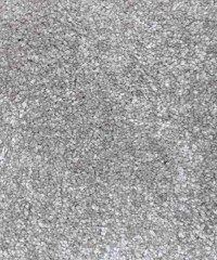 Ковролин для дома 119837, 1.00х1.00, образец