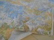 Акриловый ковер Colorful 24026 60 - высокое качество по лучшей цене в Украине - изображение 5
