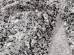 Синтетическая ковровая дорожка Albina 78 , GREY - высокое качество по лучшей цене в Украине - изображение 4