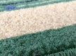 Synthetic carpet FRISE F3043A GREEN - high quality at the best price in Ukraine - image 3