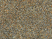 Commercial fitted carpet Primavera 7745 - high quality at the best price in Ukraine - image 2