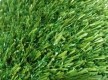 Grass Congrass Java 20 - high quality at the best price in Ukraine - image 3