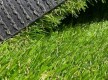 Искусственная трава Congrass Jakarta 30 - высокое качество по лучшей цене в Украине - изображение 2