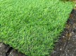Искусственная трава Landgrass 20 - высокое качество по лучшей цене в Украине - изображение 3