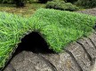 Искусственная трава Landgrass 30 - высокое качество по лучшей цене в Украине - изображение 2