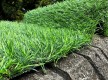 Искусственная трава Landgrass 30 - высокое качество по лучшей цене в Украине - изображение 3