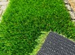 Искусственная трава Landgrass 40 - высокое качество по лучшей цене в Украине - изображение 3