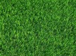Искусственная трава Landgrass 40 - высокое качество по лучшей цене в Украине - изображение 5