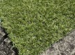 Grass Landgrass 15 - high quality at the best price in Ukraine - image 2