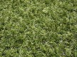 Grass Landgrass 15 - high quality at the best price in Ukraine - image 3