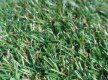 Искусственная трава Natura GC-21 - высокое качество по лучшей цене в Украине - изображение 2