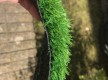 Искусственная трава Tropicana 25 - высокое качество по лучшей цене в Украине - изображение 2