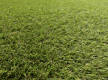 Аrtificial grass Alvira - high quality at the best price in Ukraine - image 2