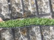 Искусственная трава RIVIERA - высокое качество по лучшей цене в Украине - изображение 3