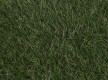 Штучна трава DECO GC 20 30mm - Висока якість за найкращою ціною в Україні - зображення 2