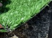 Grass Flat 2 - high quality at the best price in Ukraine - image 2