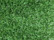 Grass Flat 2 - high quality at the best price in Ukraine - image 3