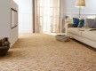 Fitted carpet for home Thirza 283 - high quality at the best price in Ukraine - image 2