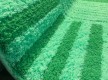 Высоковорсная ковровая дорожка ASTI Aqua Avang-L.Green - высокое качество по лучшей цене в Украине - изображение 2