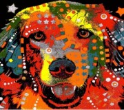 Синтетический ковер Kolibri (Колибри) 11022/180 - высокое качество по лучшей цене в Украине.