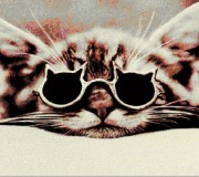 Ковер Kolibri (Колибри) 11262/190 кот - высокое качество по лучшей цене в Украине.