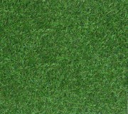 Искусственная трава Betap Rosalie - высокое качество по лучшей цене в Украине.