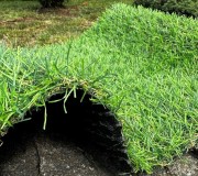 Искусственная трава Landgrass 20 - высокое качество по лучшей цене в Украине.