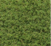 Искусственная трава Orotex Arcadia - высокое качество по лучшей цене в Украине.