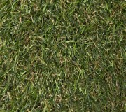 Штучна трава DECO GC 20 20mm - высокое качество по лучшей цене в Украине.