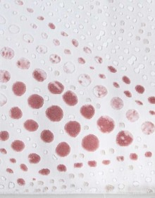 Акриловий килим Flora 4063A - высокое качество по лучшей цене в Украине.