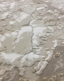 Акриловий ковер Nessa P853A BEIGE - высокое качество по лучшей цене в Украине.