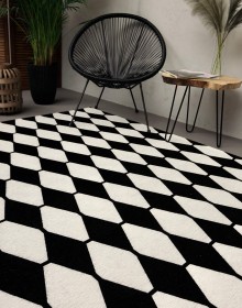 Синтетичний килим ALMINA 126702 black/white - высокое качество по лучшей цене в Украине.