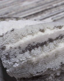 Высокоплотный ковер Sofia 7881a VIZON - высокое качество по лучшей цене в Украине.