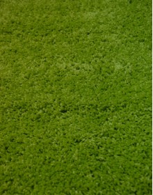 Високоворсний килим Himalaya A703A Eucoliptus - высокое качество по лучшей цене в Украине.