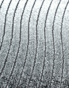 Високоворсний килим Luna 2453a p.black-p.grey - высокое качество по лучшей цене в Украине.