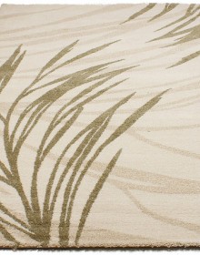 Високоворсний килим Wellness 3536 cream - высокое качество по лучшей цене в Украине.