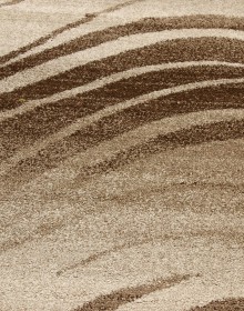 Високоворсний килим Wellness 4179 brown - высокое качество по лучшей цене в Украине.