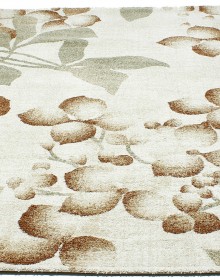 Високоворсний килим Wellness 4816 cream - высокое качество по лучшей цене в Украине.