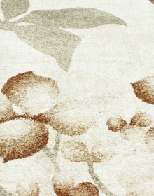 Високоворсний килим Wellness 4816 cream - высокое качество по лучшей цене в Украине.