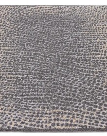 Синтетичний килим Avanti Ceres Szary - высокое качество по лучшей цене в Украине.